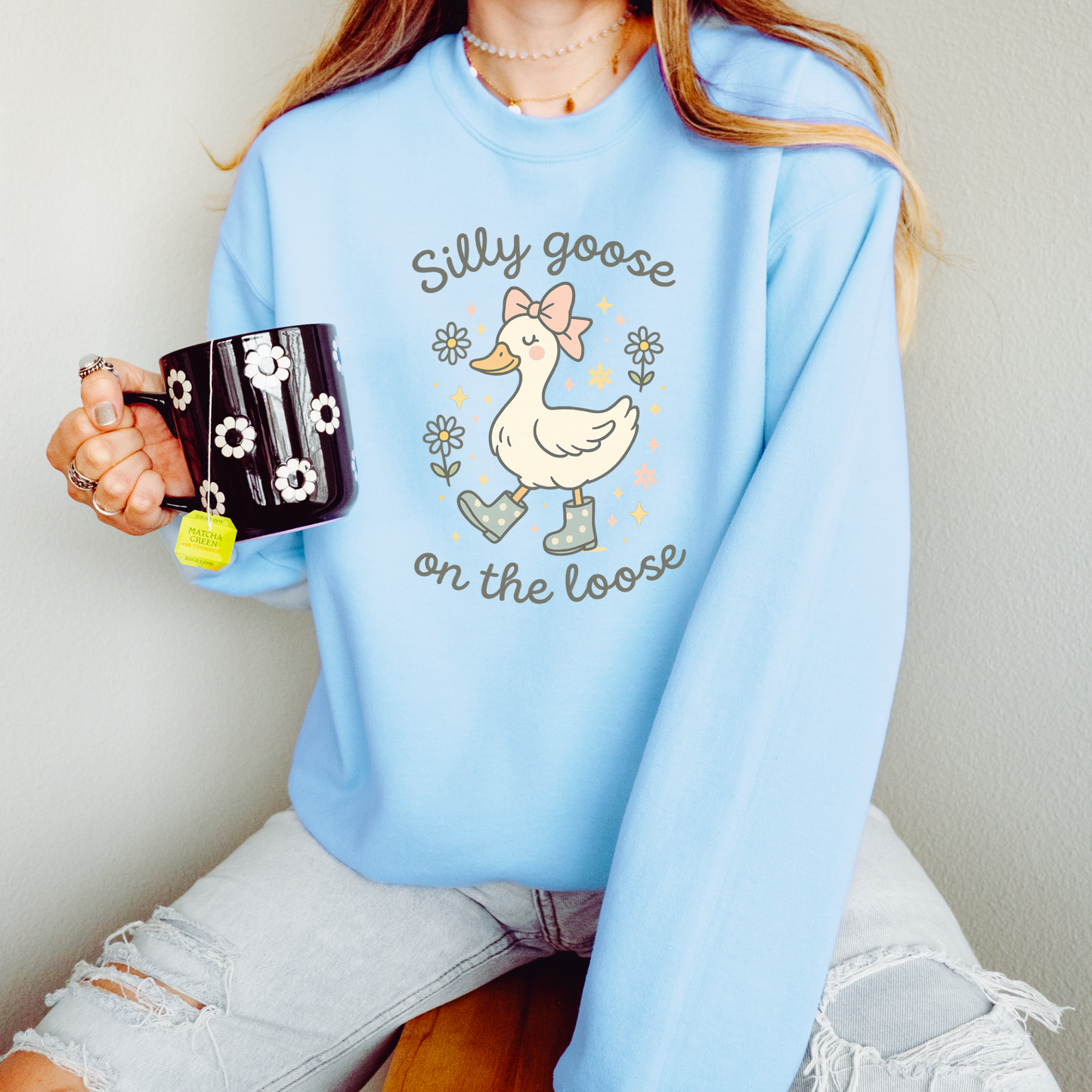 Silly Goose